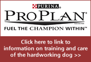 purina